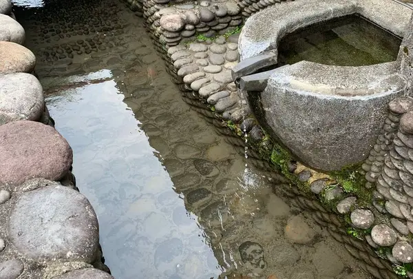 八幡町新町の写真・動画_image_619055
