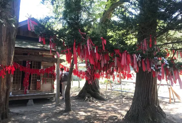 卯子酉様
