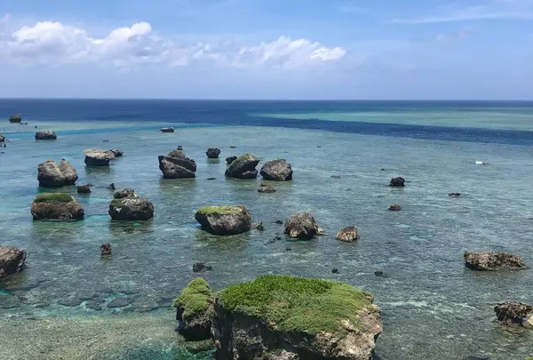 東平安名崎の写真・動画_image_619880