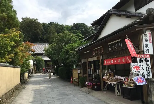 照の恵