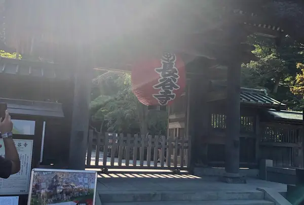 長谷寺の写真・動画_image_623081