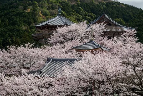 壷阪寺