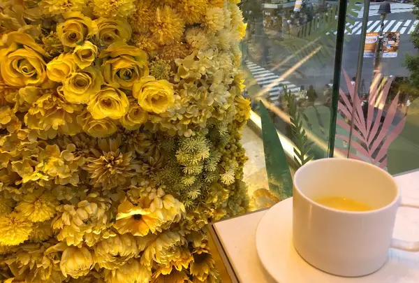 ロクシタンカフェの写真・動画_image_624575