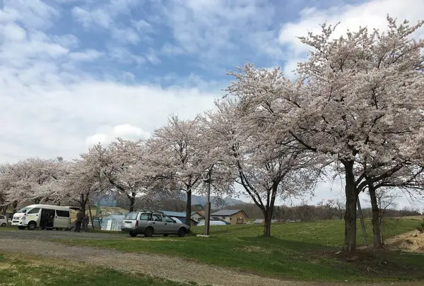 羽後町 五輪坂アルカディア公園