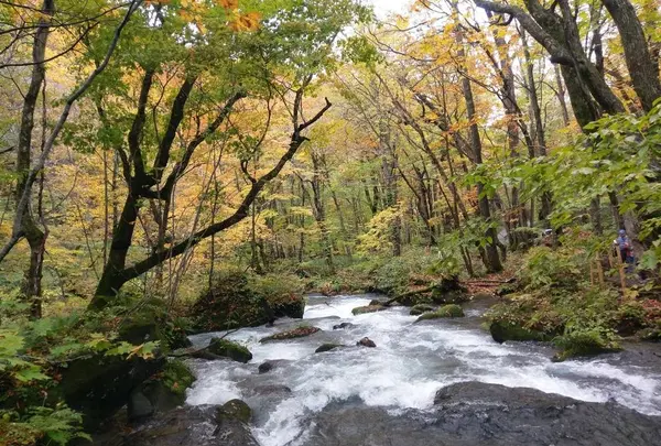 馬門岩