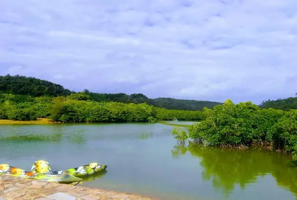 東村ふれあいヒルギ公園