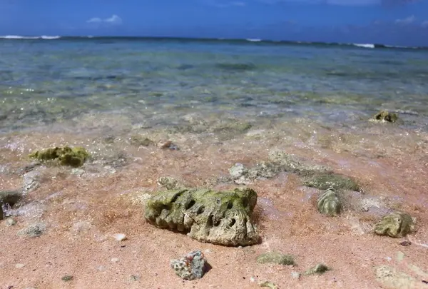Gun Beach（ガン・ビーチ）の写真・動画_image_629309