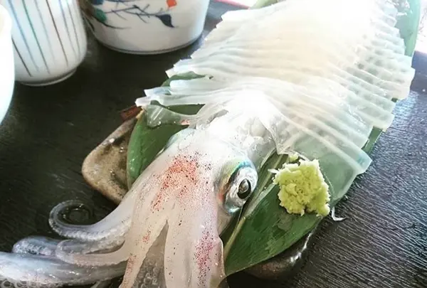 口福の馳走屋 梅乃葉