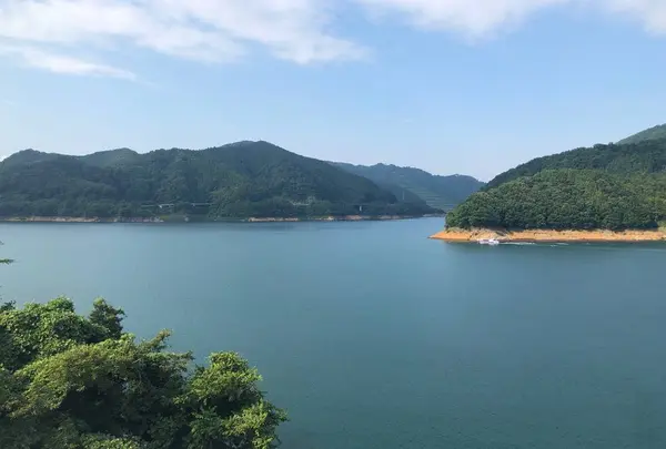 ぐるり宮ケ瀬湖 （公益財団法人 宮ケ瀬ダム周辺振興財団）の写真・動画_image_631705