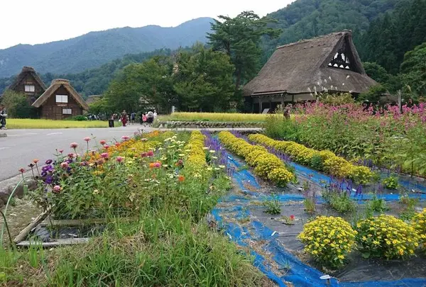 みだしま公園臨時駐車場