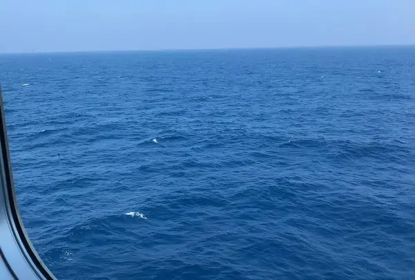 新日本海フェリー