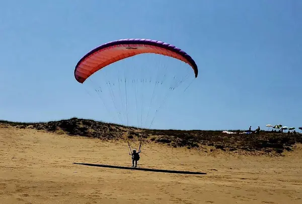 鳥取砂丘の写真・動画_image_633338