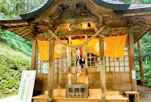 金持神社の写真・動画_image_633354