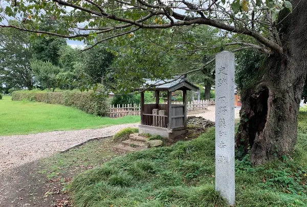 下野薬師寺跡