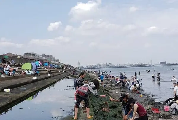 浦安市日の出三番瀬