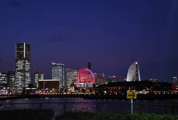 横浜港大さん橋国際客船ターミナル（大さん橋）