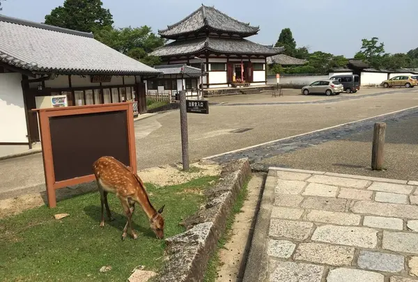 奈良東大寺境四月堂の写真・動画_image_638846