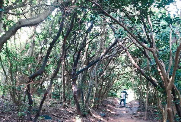 芥屋の大門公園