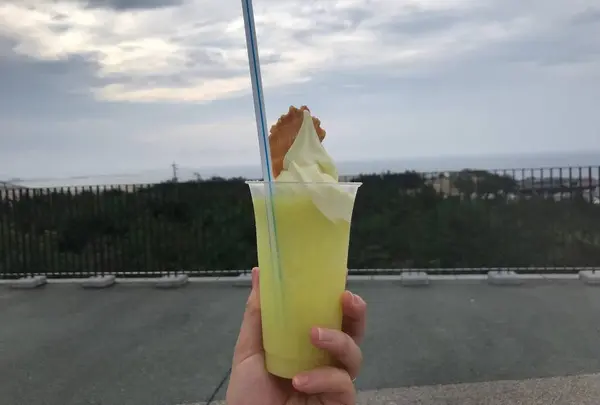 砂丘センター 見晴らしの丘