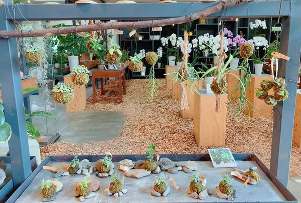 花のがっこう
