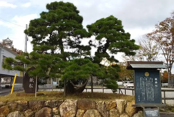 家康公鎧掛松