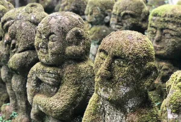 愛宕念仏寺の写真・動画_image_650900