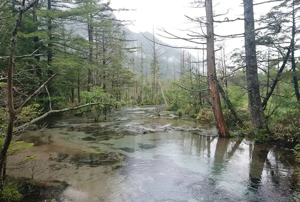 岳沢湿原