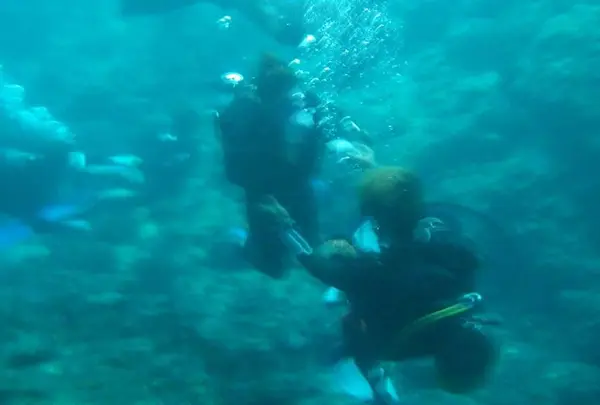 セブンオーシャンズクラブ