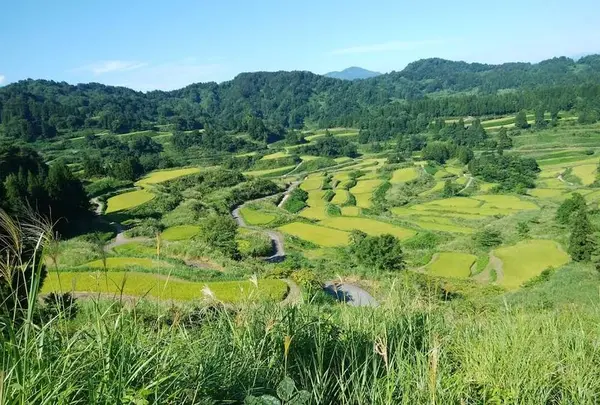 星峠の棚田