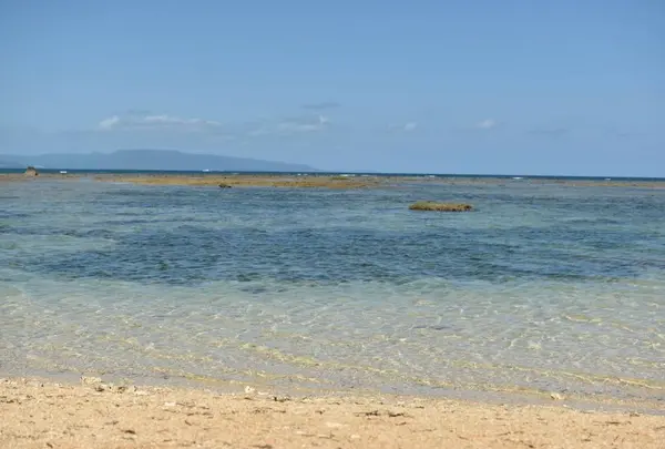 フサキビーチの写真・動画_image_657045
