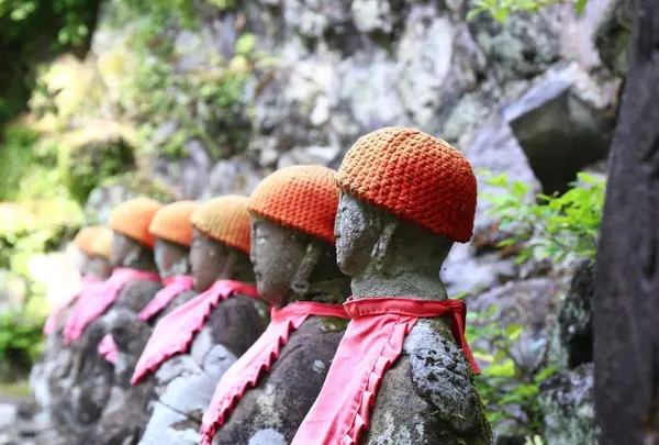 茶湯寺の写真・動画_image_657801