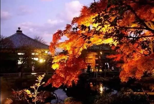 鎌倉 紅葉巡り