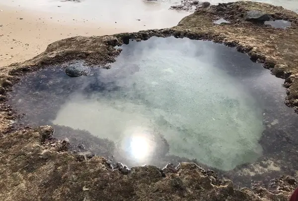 ハートロックの写真・動画_image_658186
