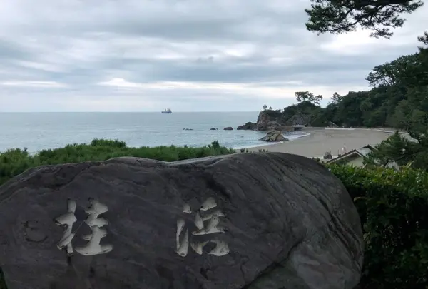 桂浜の写真・動画_image_659901