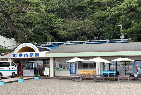 桂浜水族館