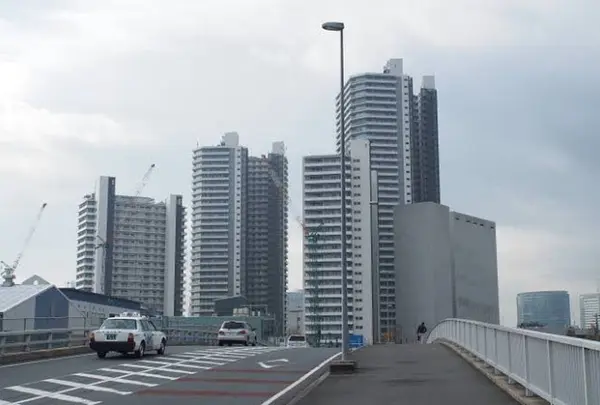 コットンハーバー地区