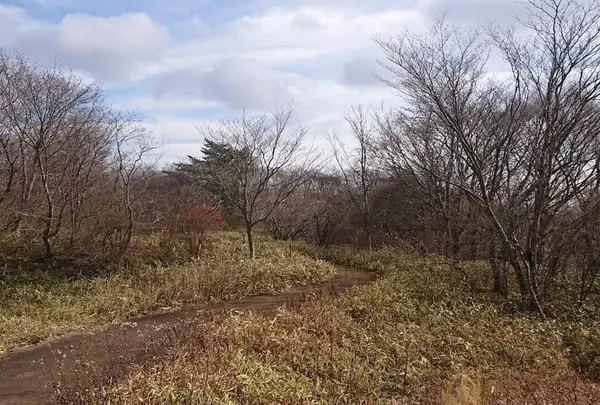 那須平成の森