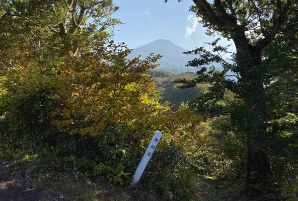 善神沼の写真・動画_image_662627