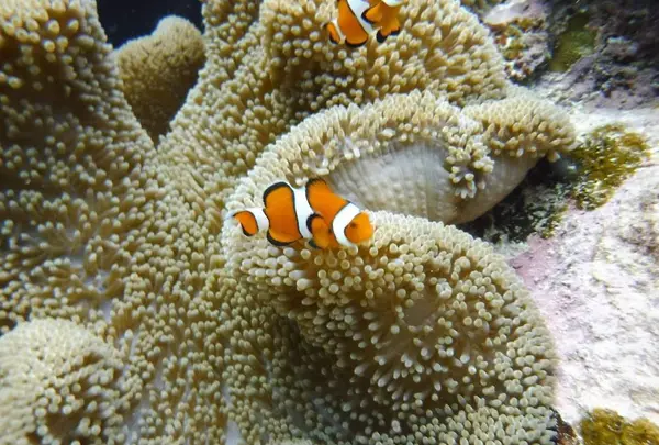 ビッグビーチ石垣島