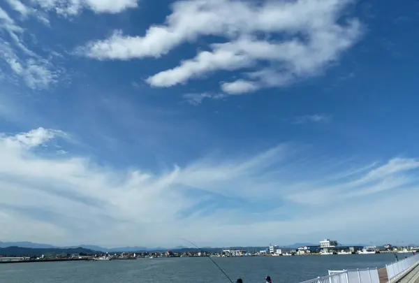 鳥の海
