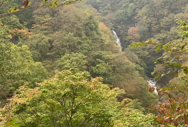 霧降の滝