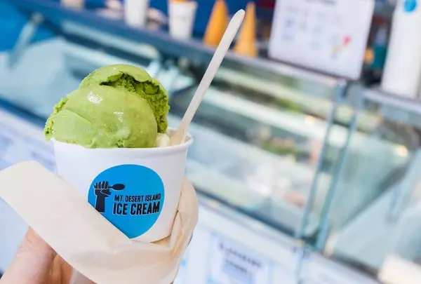 Mount Desert Island Ice Cream Matsumoto