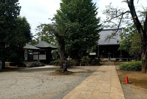 東福寺の写真・動画_image_671917