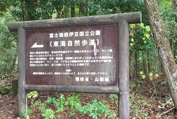 青木ヶ原樹海