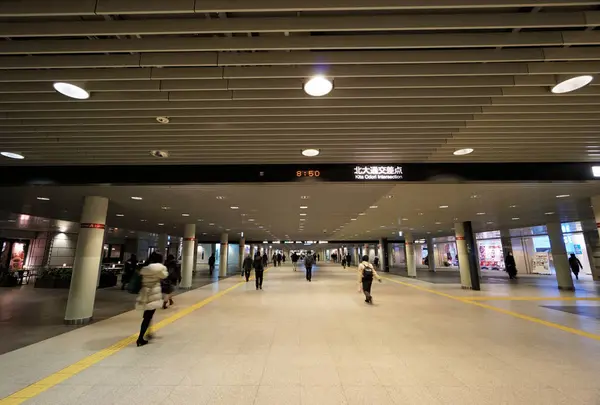 札幌駅前通地下歩行空間の写真・動画_image_674127
