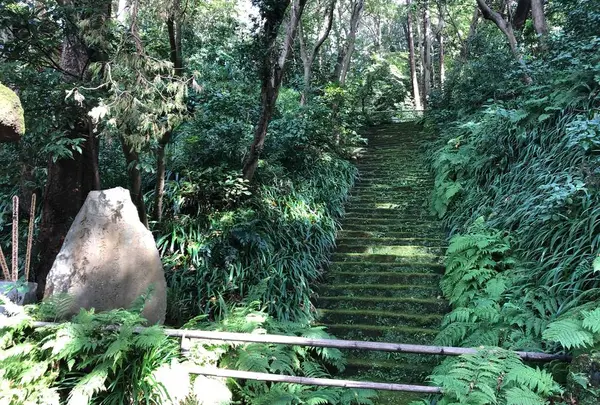 妙法寺（日蓮宗）