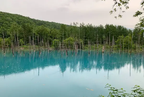 青い池