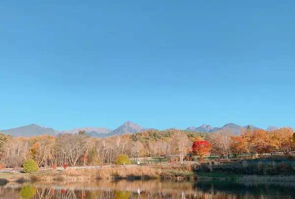 八ヶ岳自然文化園の写真・動画_image_680431
