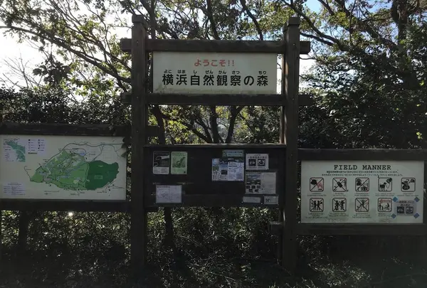 横浜自然観察の森