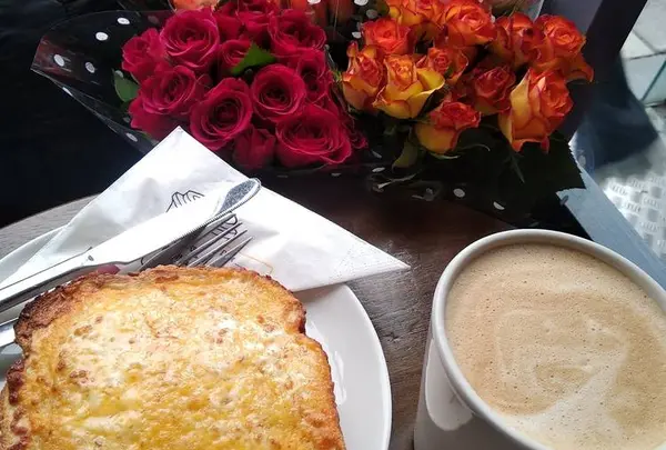 Insomnia Coffee Company